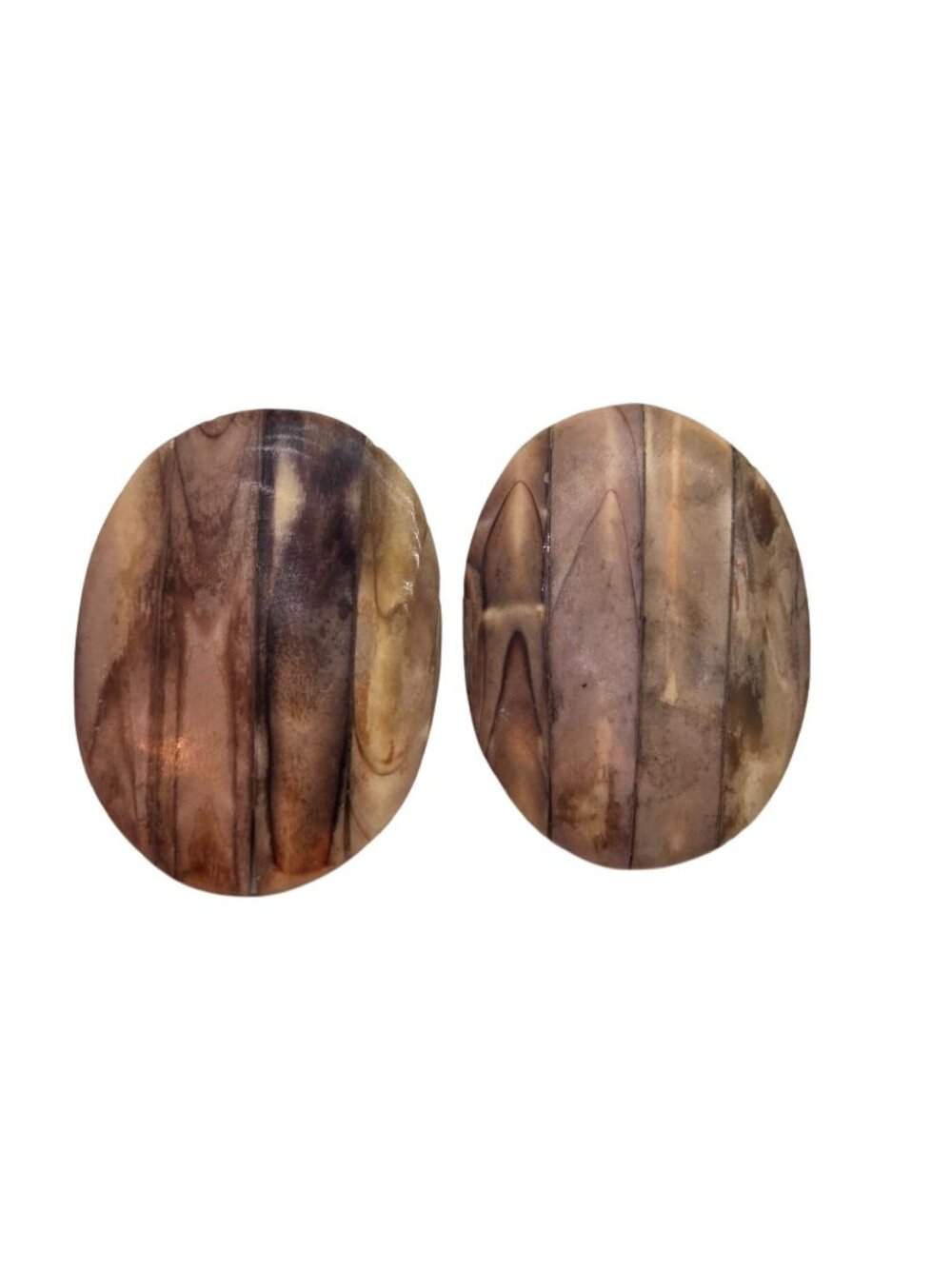 Oval Faux Tortoise Shell Stud Earrings Brown & Beige Striped